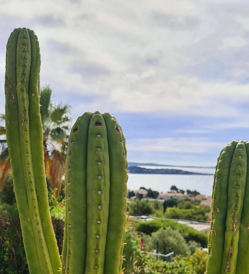 Magnifique Appartement Vue Mer - Grande Terrasse Et Piscine Bandol Eksteriør billede