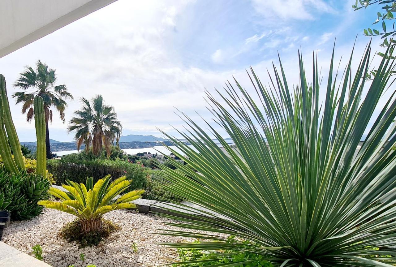 Magnifique Appartement Vue Mer - Grande Terrasse Et Piscine Bandol Eksteriør billede